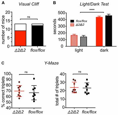 Role for Chromatin Remodeling Factor Chd1 in Learning and Memory